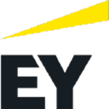 EY - Brand Design's Team Space logo on Candor