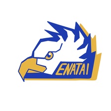 Enatai's Team Space logo on Candor
