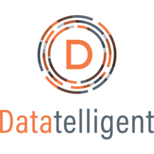 Datatelligent's Team Space logo on Candor
