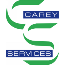 Carey Services's Team Space logo on Candor
