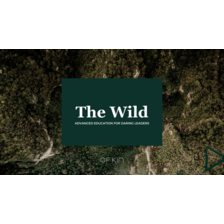 The Wild's Team Space logo on Candor
